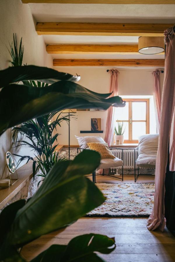 Bed and Breakfast Marinada Vinicni Dum à Pavlov Extérieur photo